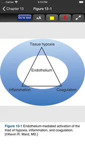 Tintinalli's ER Study Guide 9E screenshot 6