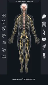 My Nervous System Anatomy screenshot 0