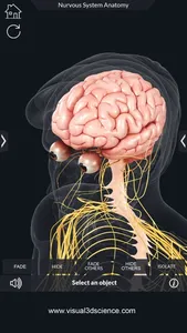 My Nervous System Anatomy screenshot 1