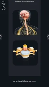 My Nervous System Anatomy screenshot 2