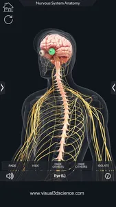 My Nervous System Anatomy screenshot 3