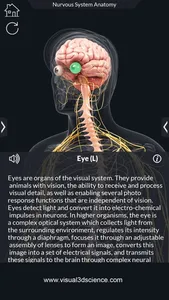 My Nervous System Anatomy screenshot 4