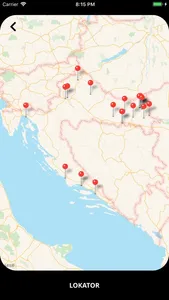 Ferivi screenshot 4