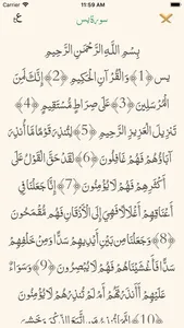 Quran | القرآن الكريم screenshot 0