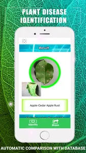 Plants Disease Identification screenshot 2