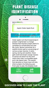 Plants Disease Identification screenshot 3