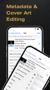 BTR AMP Advanced Music Player screenshot 9