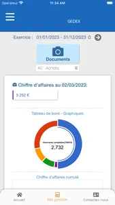 Gedex - Comptable à Lyon screenshot 2