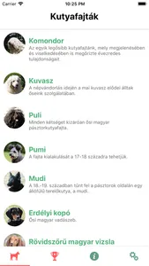 9 magyar kutya screenshot 3