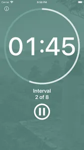 Reiki Timer with Pamela Miles screenshot 2