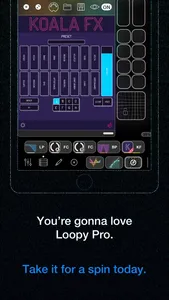 Loopy Pro: Looper DAW Sampler screenshot 5