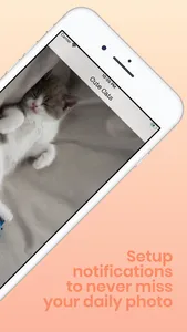 Daily Cute Cats Photos screenshot 1