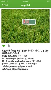 Paddy Varieties screenshot 3