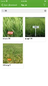 Paddy Varieties screenshot 4