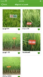 Paddy Varieties screenshot 6