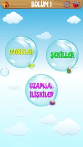 Bil Bakalım 2 screenshot 2