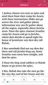 Pidgin Audio Bible screenshot 2