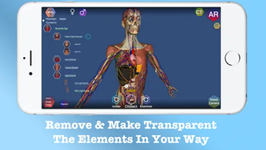 AR Anatomy ++ screenshot 2