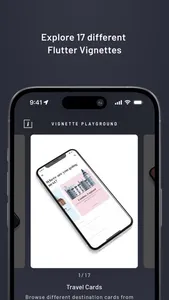Flutter Vignettes Playground screenshot 6