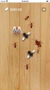 Insect Killer screenshot 5