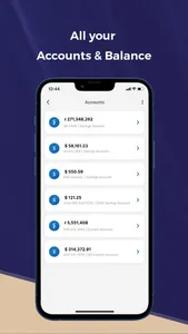 Chief Mobile Bank screenshot 2