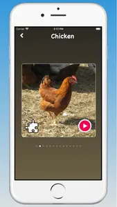 Animal Sounds, Animal Language screenshot 5