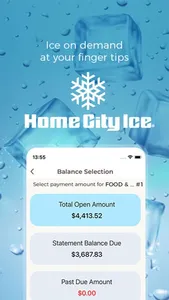 Home City Ice screenshot 0