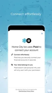 Home City Ice screenshot 6