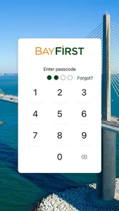 BayFirst National Bank screenshot 1