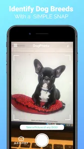 DogPhoto - Dog Breed Scanner screenshot 0