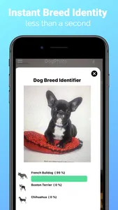 DogPhoto - Dog Breed Scanner screenshot 1