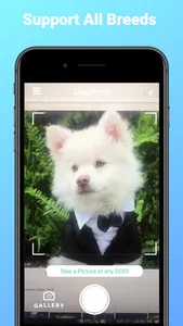 DogPhoto - Dog Breed Scanner screenshot 3