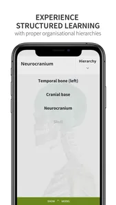 Anatomyka Skeleton screenshot 5