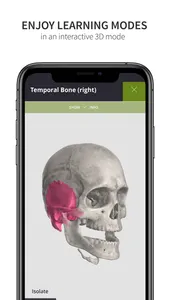 Anatomyka Skeleton screenshot 7