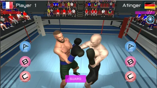 Summer Games Boxing screenshot 0