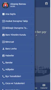 Aksaray Barosu screenshot 1