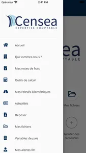 Censea Expertise Comptable screenshot 1