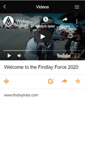 Findlay Force screenshot 2