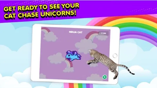 Ninja Cat: Game for Cats screenshot 2