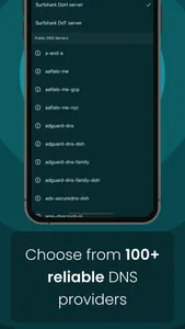DNS Changer - Trust DNS screenshot 1