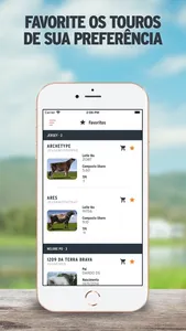 Semex Brasil screenshot 5