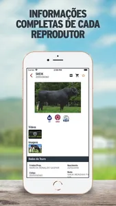 Semex Brasil screenshot 7