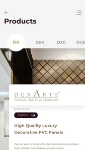 DEXARTE screenshot 3