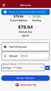 eBill Mobile screenshot 2