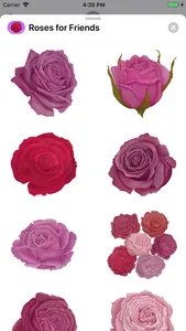 Roses for Friends Stickers screenshot 3