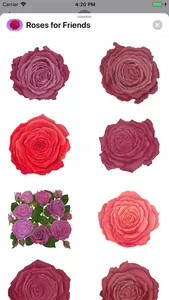 Roses for Friends Stickers screenshot 5