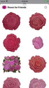 Roses for Friends Stickers screenshot 6