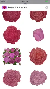 Roses for Friends Stickers screenshot 7