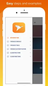 Firebase Pocket Guide screenshot 1