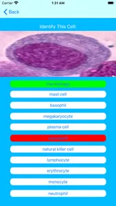 Immune Cells Tutor screenshot 0